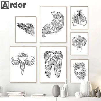Black White Anatómie Ľudského Srdca Kostra Wall Art Plagáty A Vytlačí Nordic Nástenné Plátno Maľovať Obrázky Lekár Office Dekor